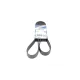 Ремінь генератора MB Atego (OM904) 98-04 (8PK1376)