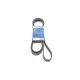 Ремінь генератора BOSCH 1 987 947 551 для Mercedes-Benz E-Class W211 2003-2008, 7PK2271