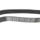 Ремінь генератора BOSCH 1 987 947 562 для Nissan Qashqai 1.6 2007-2013, Honda CR-V 2.2 2007-, 7PK1815