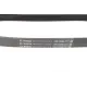 Ремінь генератора BOSCH 1 987 947 575 для Nissan Almera B10 1.6 16V 2006- 6PK810 810 мм