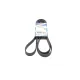 Ремінь генератора BOSCH 1 987 947 579 для Land Rover Range Rover, Toyota Land Cruiser 120 7PK2120 2120 мм