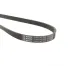 Ремінь генератора BOSCH 1 987 947 829 для Renault Kangoo, Subaru Impreza, Nissan Pathfinder 5PK875