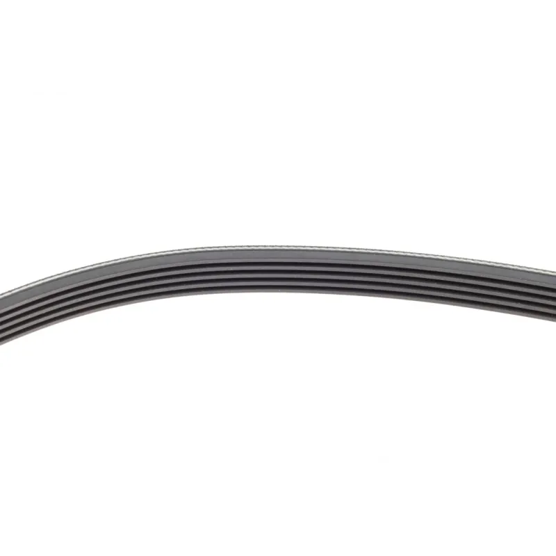 Ремінь генератора BMW 3 (E46)/5 (E39) 1.8D/2.0D 98-03 (5PK836)