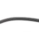 Ремінь генератора BMW 3 (E46)/5 (E39) 1.8D/2.0D 98-03 (5PK836)