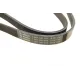 Ремінь генератора Citroen Jumper/Peugeot Boxer 3.0HDI (6PK1165)