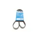 Ремінь генератора Citroen Jumper/Fiat Ducato/Peugeot Boxer 2.0/2.2HDi/JTD 02- (6PK1180)