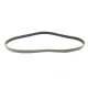 Ремінь генератора Citroen Jumper/Fiat Ducato/Peugeot Boxer 2.0/2.2HDi/JTD 02- (6PK1180)