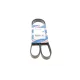 Ремінь генератора BOSCH 1 987 947 948 для Ford Transit Connect, Opel Astra F, BMW 3 (E90) 6PK1460