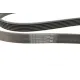 Ремінь генератора Opel Vectra 1.8-2.2 86-03/Audi A6 2.5TDI 94-97/Chevrolet Lacetti 1.8 05- (6PK1725)