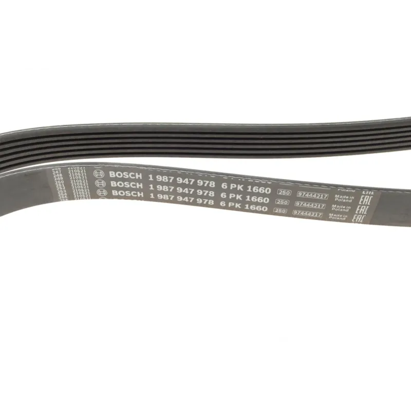 Ремінь генератора BOSCH 1 987 947 978 для Fiat Scudo, Citroen Berlingo, VW Golf IV 1.8/1.9TDI 1997-, 6PK1660