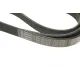 Ремінь генератора BOSCH 1 987 947 979 для Audi A6/100 1991-1997, Ford Escort 1992-1999, Toyota Corolla 2002-2006 (6PK1675)