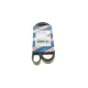 Ремінь генератора VW Crafter 2.0TDI 11-16/Opel Corsa D 1.7CDTI 06-11/Ford Fiesta 00-03 (6PK1610)
