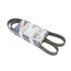 Ремінь генератора Fiat Doblo/Punto 1.2/1.4 99- (5PK1175)