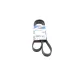 Ремінь генератора Fiat Doblo 1.3D Multijet/1.3JTD/Ford Focus 1.8/2.0 04- (6PK1306)