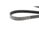 Ремінь генератора BOSCH 1 987 948 348 для Opel Combo Tour 2004-, Astra G 1998-2005, Corsa C 2000-2009 (5PK1230)