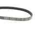 Ремінь генератора BOSCH 1 987 948 354 для Ford Mondeo 1.8TD 1993-2000 (5PK575)