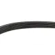 Ремінь генератора Peugeot Expert/Citroen Jumpy 2.0HDi 07-/Ford Focus/Kuga 2.0TDCi 04-12 (6PK1215)