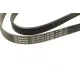 Ремінь генератора Ford Focus 1.8 TDCi 05-12/Skoda Octavia 1.4 i 99-01 (6PK1520)