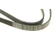 Ремінь генератора BOSCH 1 987 948 491 для VW Passat B5/Audi A4/A6 1.9TDI 1998-2005, Skoda Superb 1.9/2.0TDI 2001-2008 (5PK1432)