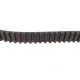 Комплект ГРМ + помпа Fiat Scudo/Citroen Jumpy 2.0HDI/D Multijet 07- (116x25.4)
