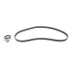 Комплект ГРМ BOSCH 1 987 948 994 для Opel Astra F/Omega B/Vectra A 1.6-2.0i 88-03 (146 зубців, 20x1168 мм)