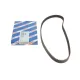 Ремінь ГРМ BOSCH 1 987 949 505 для Ford Fiesta, Focus 1.4/1.6 1995-2005, 22x117z