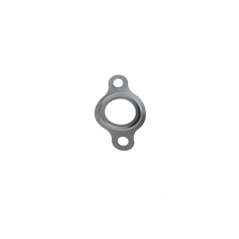 Прокладка ПНВТ BOSCH F 00R 0P1 466 для Citroen Berlingo 2.0 HDi 1999-2011