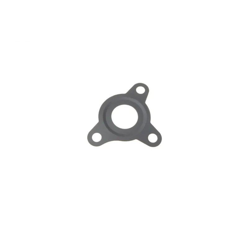Прокладка паливного насоса BOSCH F 01M 100 055 для Fiat Doblo Fiorino 1.3 JTD 2006-