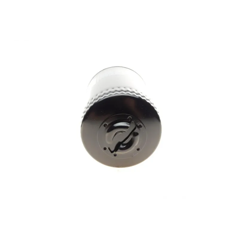 Фільтр масляний BOSCH F 026 407 004 для VW Passat B5/B6, Skoda Superb I, Audi A4 B5/B6, 1.8T