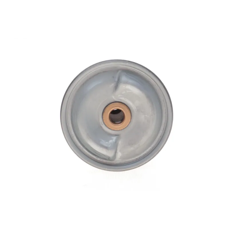 Фільтр масляний BOSCH F 026 407 060 для Renault Magnum, Premium, Kerax (центрифуга, 97x124 мм)