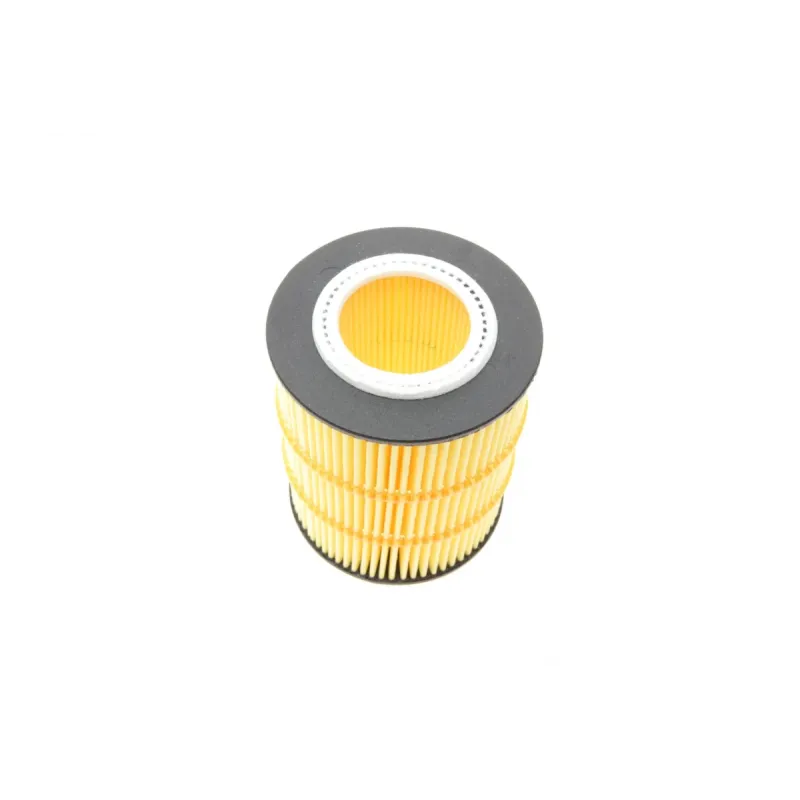 Фільтр масляний BOSCH F 026 407 155 для Citroen C5/Peugeot 407 3.0HDI 09-, Land Rover Discovery/Range Rover Sport 3.0TD 09-