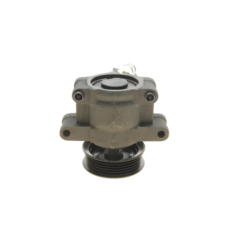 Насос ГПК BOSCH K S02 000 036 для Ford Fusion 1.25/1.4/1.6 2002-2012, лопатевий