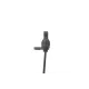 Датчик ABS (передній) BMW 1 (F20/F21)/3 (F30/F80)/4 (F36) 11-