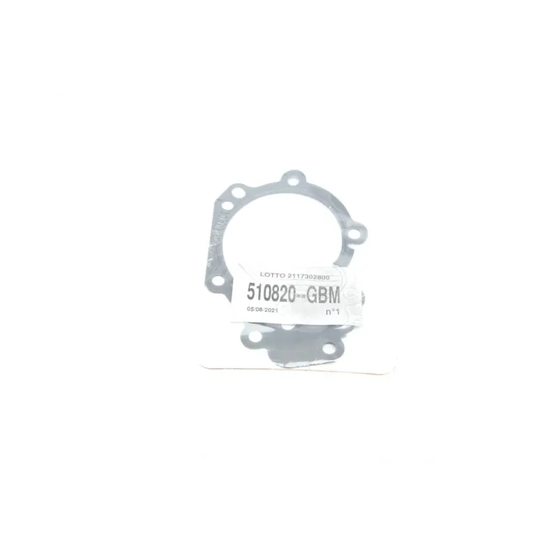 Помпа води BUGATTI PA10010 для Renault Kangoo, Kubistar 1.2 16V, Ø 56.15 мм