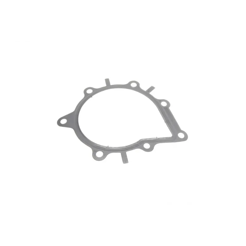 Помпа води Citroen C4-C8/Jumper/Peugeot 308/407/Ford Focus 2.0-2.2HDi/D/TDCi 06- (B/B)(8 лоп)