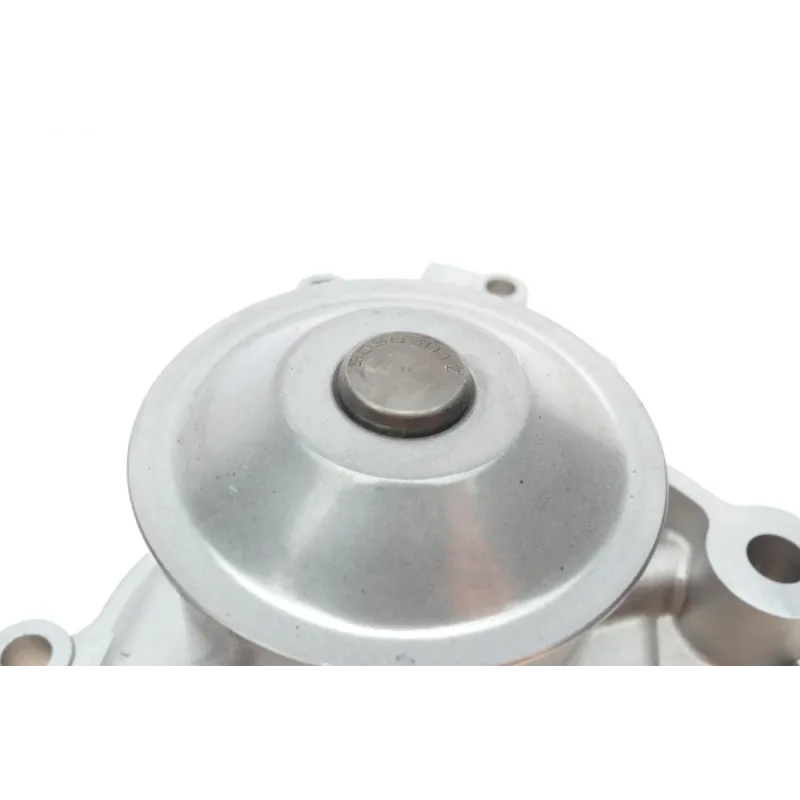 Помпа води BUGATTI PA10124 для Toyota Camry, Highlander, Lexus ES/RX 3.0/3.3 (10 лоп, Ø 60мм)