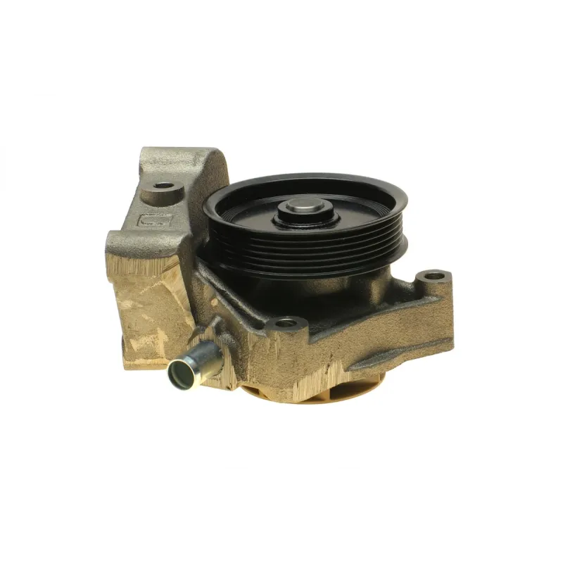 Помпа води BUGATTI PA10125 для Citroen Jumper/Peugeot Boxer/Fiat Ducato 3.0HDi/2.3D/3.0D, Iveco 2006-, 7 лопатей, 6 каналів, Ø 111 мм