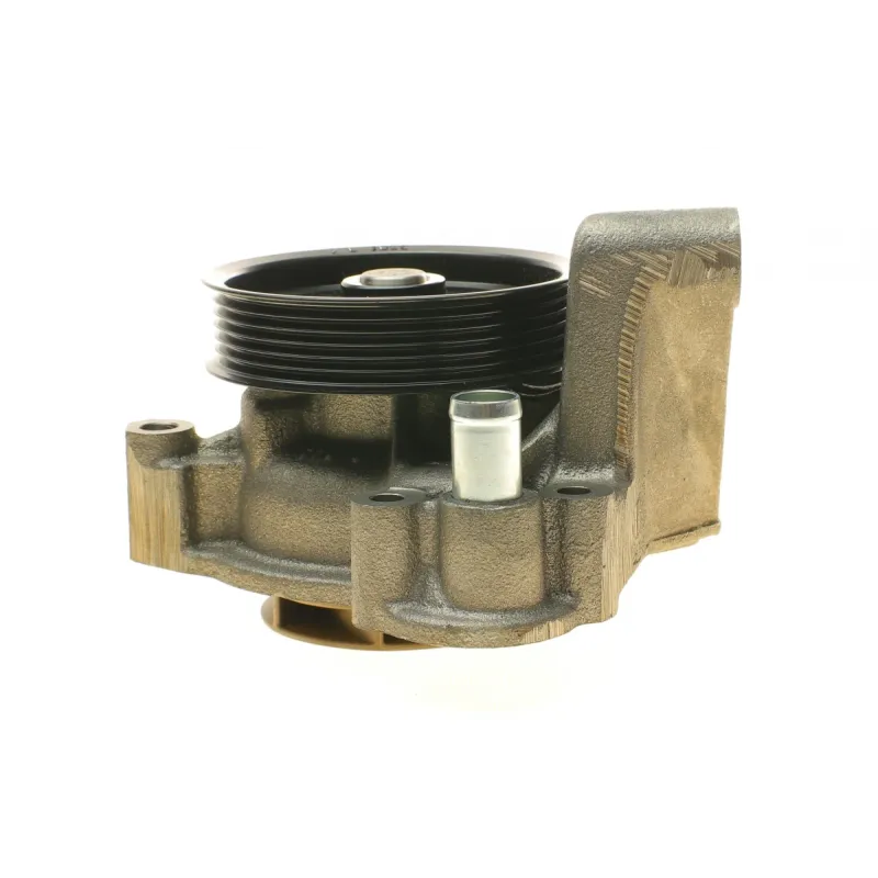 Помпа води BUGATTI PA10125 для Citroen Jumper/Peugeot Boxer/Fiat Ducato 3.0HDi/2.3D/3.0D, Iveco 2006-, 7 лопатей, 6 каналів, Ø 111 мм