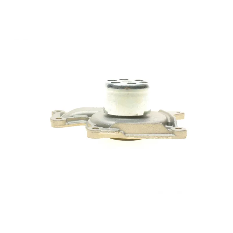 Помпа води Renault Kangoo/Clio/Duster/Laguna/Megane/Nissan Qashqai/Juke 1.5dCi 09-/MB (OM607/OM608)