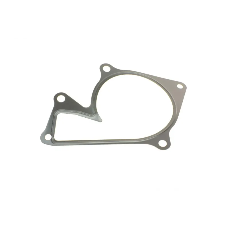 Помпа води Renault Kangoo/Clio/Duster/Laguna/Megane/Nissan Qashqai/Juke 1.5dCi 09-/MB (OM607/OM608)
