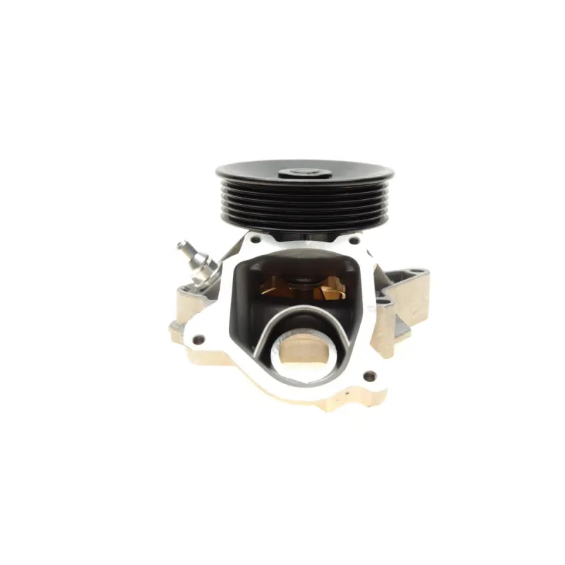 Помпа води BUGATTI PA10166 для BMW 3 (E90) 335d 2006-2011, X3 (E83) 3.0d 2004-2010, Ø 95 мм