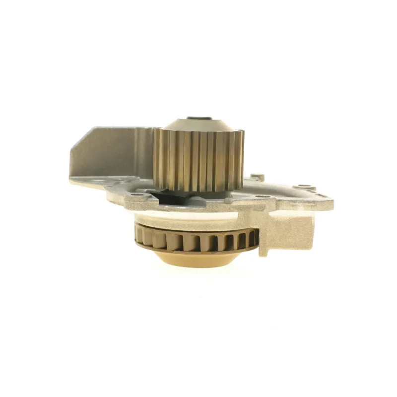 Помпа води Citroen C4/C5/C8/Jumpy/Fiat Scudo/Peugeot 308/407/Ford Focus 2.0HDI 06-(B/B)(24лоп)