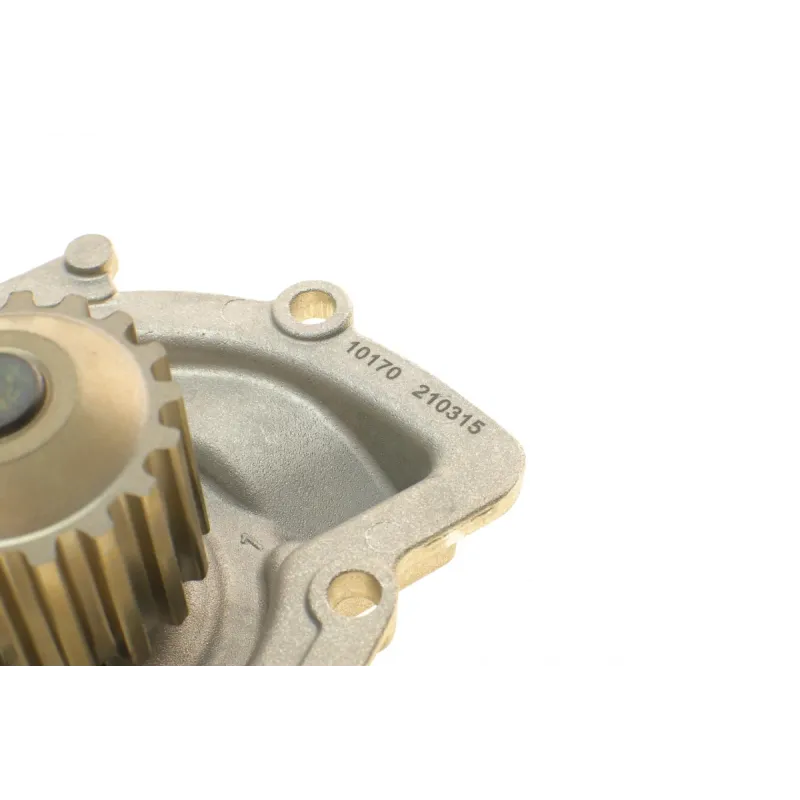 Помпа води Citroen C4/C5/C8/Jumpy/Fiat Scudo/Peugeot 308/407/Ford Focus 2.0HDI 06-(B/B)(24лоп)