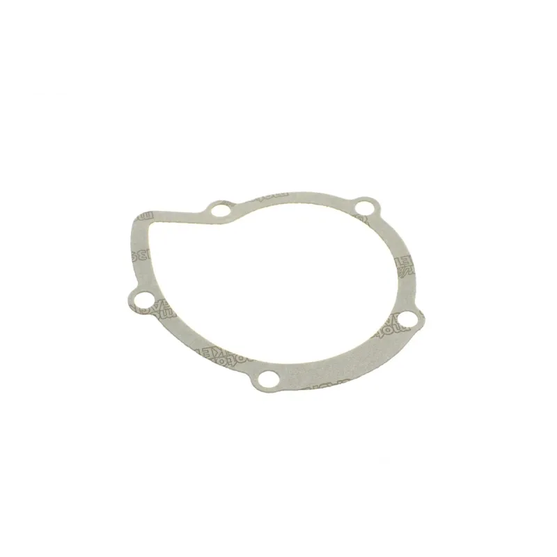 Помпа води Citroen C4/C5/C8/Jumpy/Fiat Scudo/Peugeot 308/407/Ford Focus 2.0HDI 06-(B/B)(24лоп)