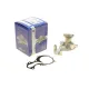 Помпа води Ford C-Max II/Focus III/Mondeo V/Fiesta/Transit Courier 1.0 EcoBoost/1.1 12- (R/B)(6 лоп)