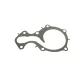 Помпа води Ford C-Max II/Focus III/Mondeo V/Fiesta/Transit Courier 1.0 EcoBoost/1.1 12- (R/B)(6 лоп)