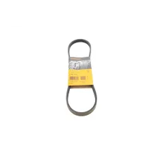 Купити Ремінь генератора Honda Civic VI/Nissan Primera/Citroen Berlingo 1.4-1.6 16V 94-05 (4PK800) | KovelAutoHub
