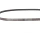 Ремінь генератора Toyota Yaris 99-14/Corolla 92-95/Mazda Premacy 99-05/626 91-02/323 98-04