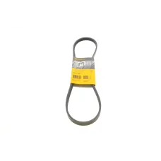 Ремінь генератора CONTINENTAL 4PK950 для Chevrolet Aveo, Fiat Punto, Honda Accord, 950 мм