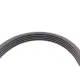 Комплект ременя генератора Renault Kangoo/Clio/Laguna/Megane 1.4i/1.6i 97-